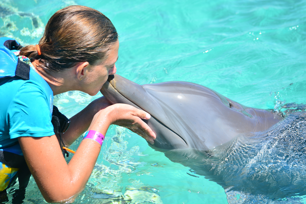 21 mars – Echappée belle à Anguilla pour nager avec des dauphins